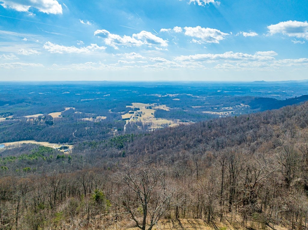 Lot 104 Spring Pond Trail, Unit 104 Fancy Gap, VA 24328 - Photo 20 of 54 Gallery Image 20