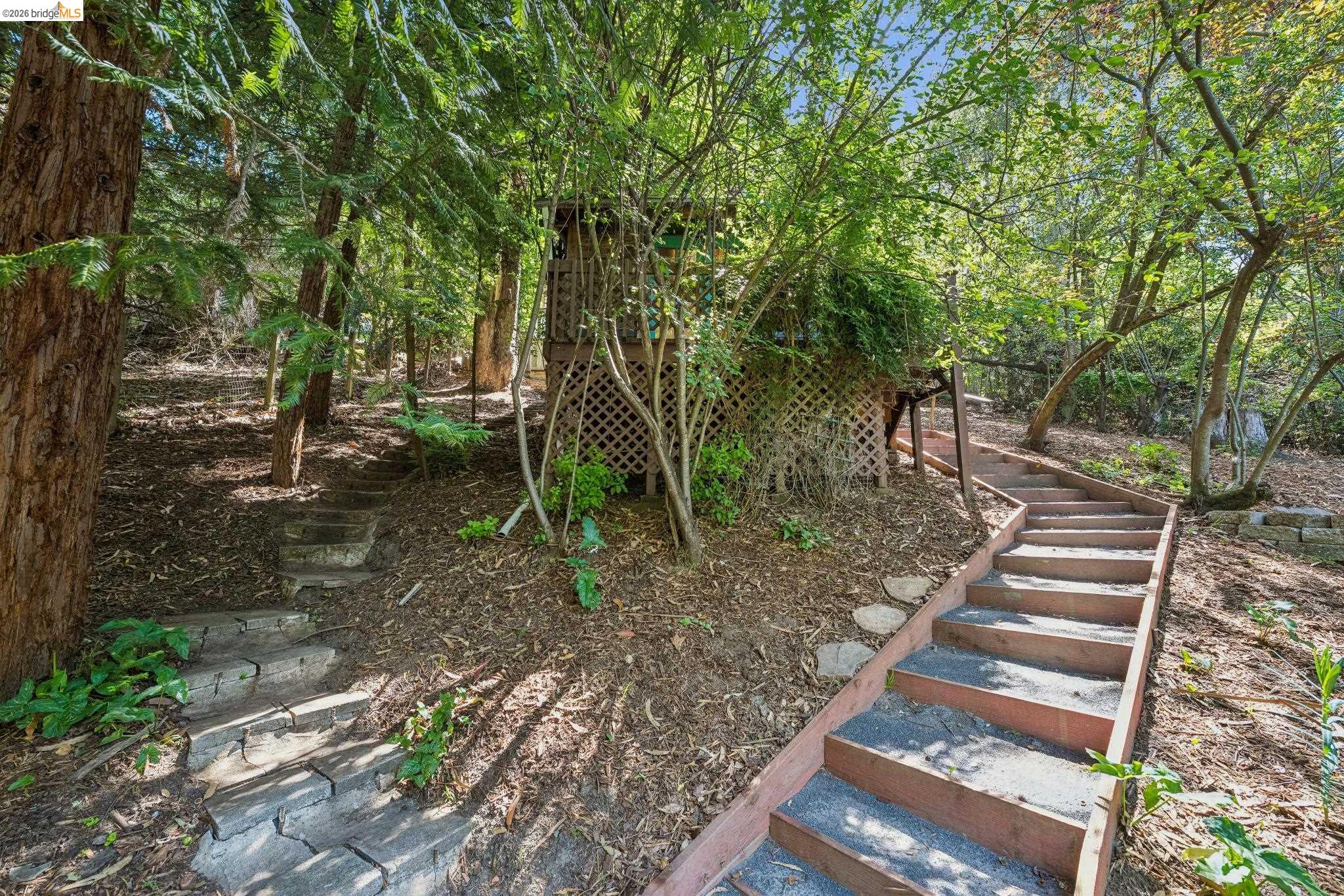 6400 Pinehaven Road Oakland, CA 94611 - Photo 52 of 78 Sloping yard featuring two distinct staircases, mature trees, and natural ground cover
