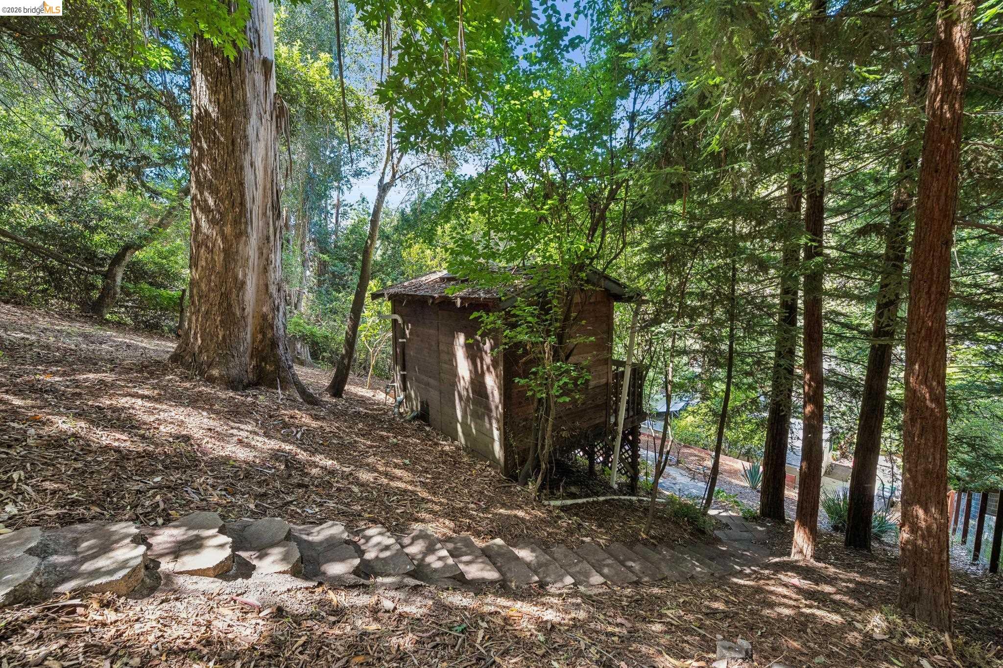 6400 Pinehaven Road Oakland, CA 94611 - Photo 55 of 78 Wooded hillside property featuring a rustic outbuilding on stilts, surrounded by mature trees, a natural stone pathway, and a sloped terrain with leaf litter
