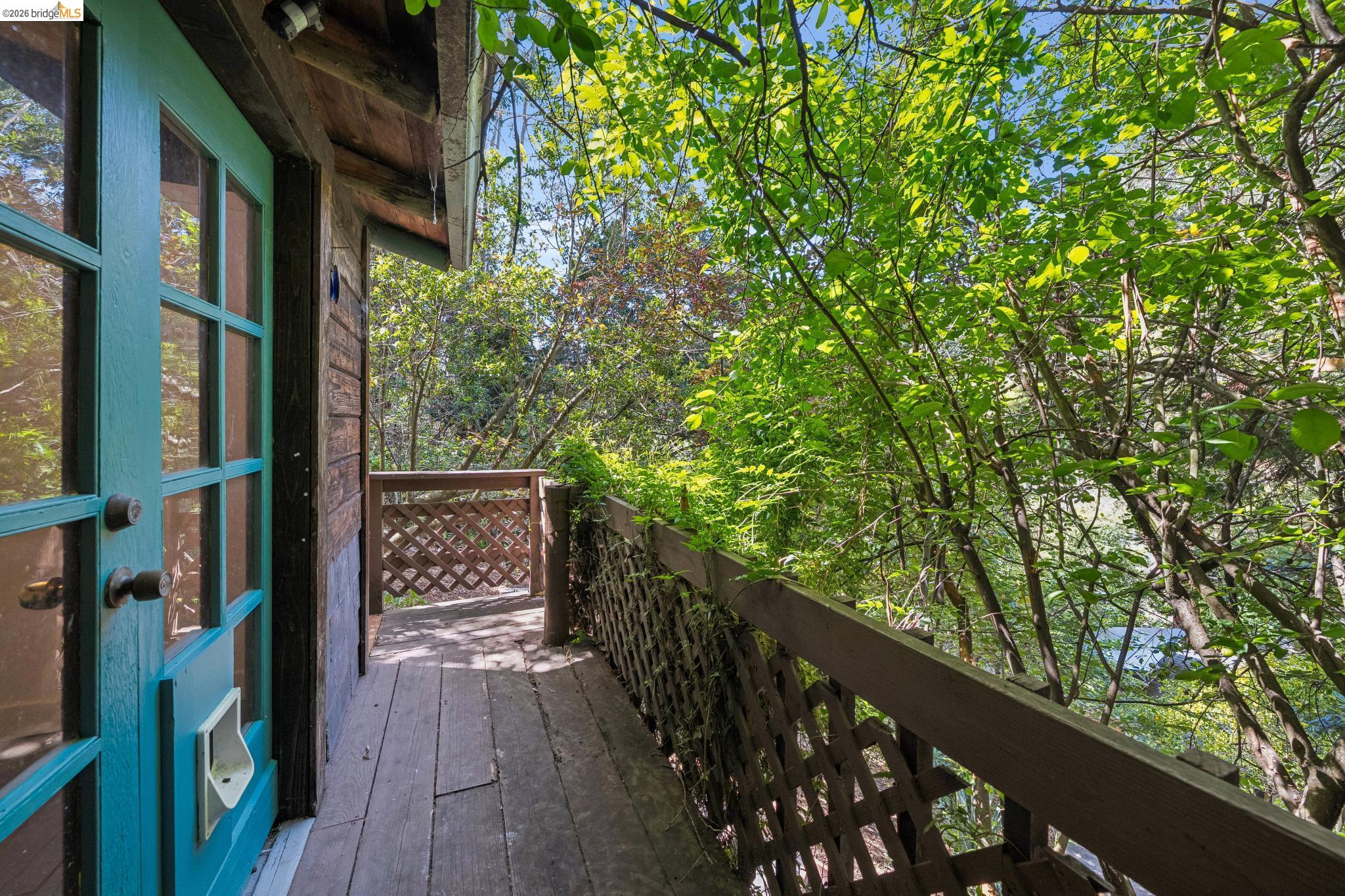 6400 Pinehaven Road Oakland, CA 94611 - Photo 57 of 78 Exterior balcony with wood-finish decking and lattice railing, featuring a teal paneled door with glass inserts and surrounded by lush foliage