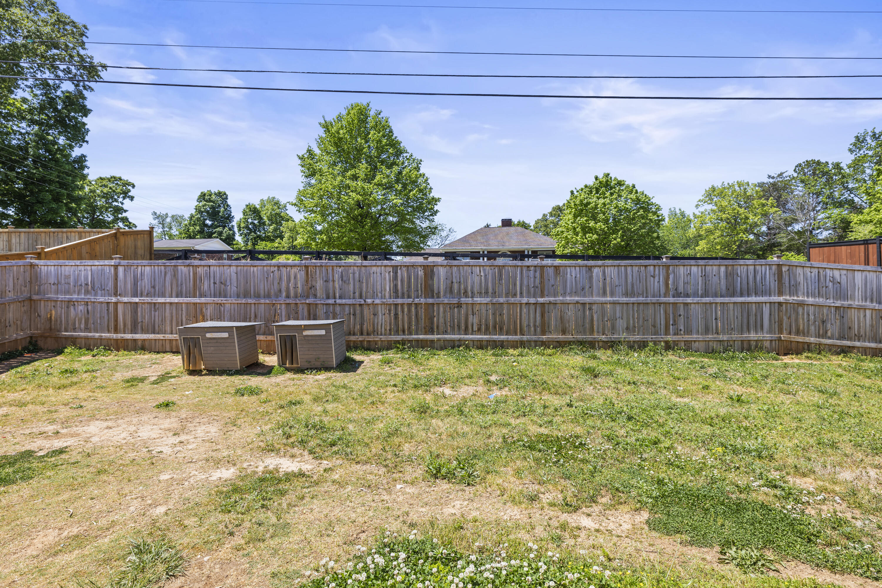 6599 Prickly Loop Ooltewah, TN 37363 - Photo 30 of 30 Back Yard