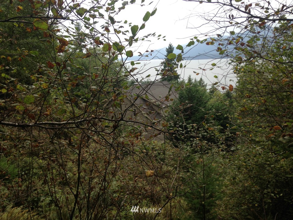 -xxx Coyle Road Quilcene, WA 98376 - Photo 1 of 8 Gallery Image 1