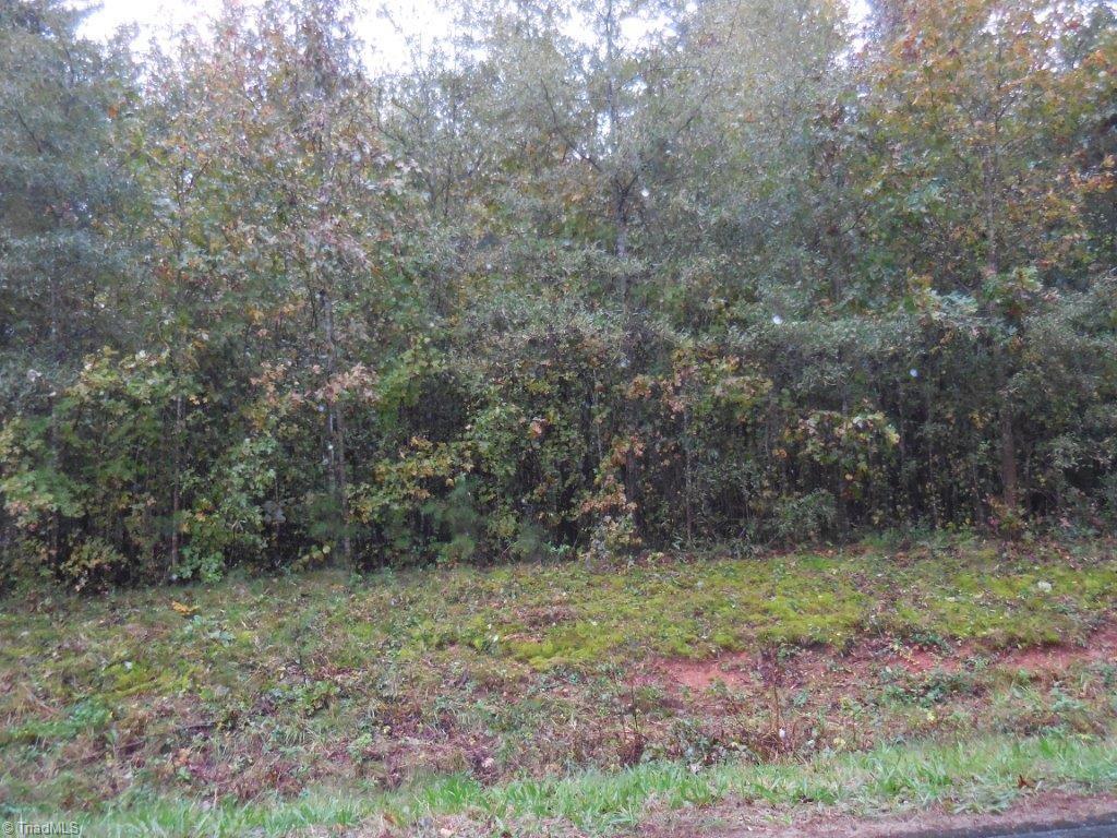 0 Guilford County Farm Road Elon, NC 27244 - Photo 1 of 2 Gallery Image 1
