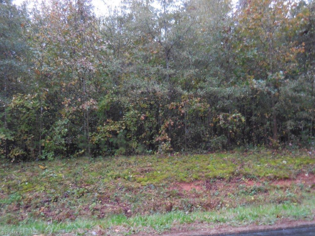 0 Guilford County Farm Road Elon, NC 27244 - Photo 2 of 2 Gallery Image 2