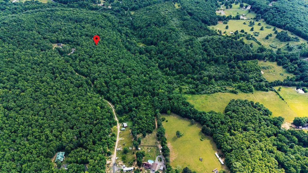 Tbd Calf Mountain Road Waynesboro, VA 22980 - Photo 10 of 36