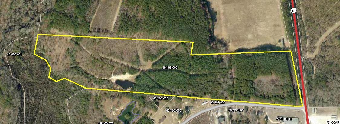Tbd Radio Road Hemingway, SC 29554 - Photo 1 of 25