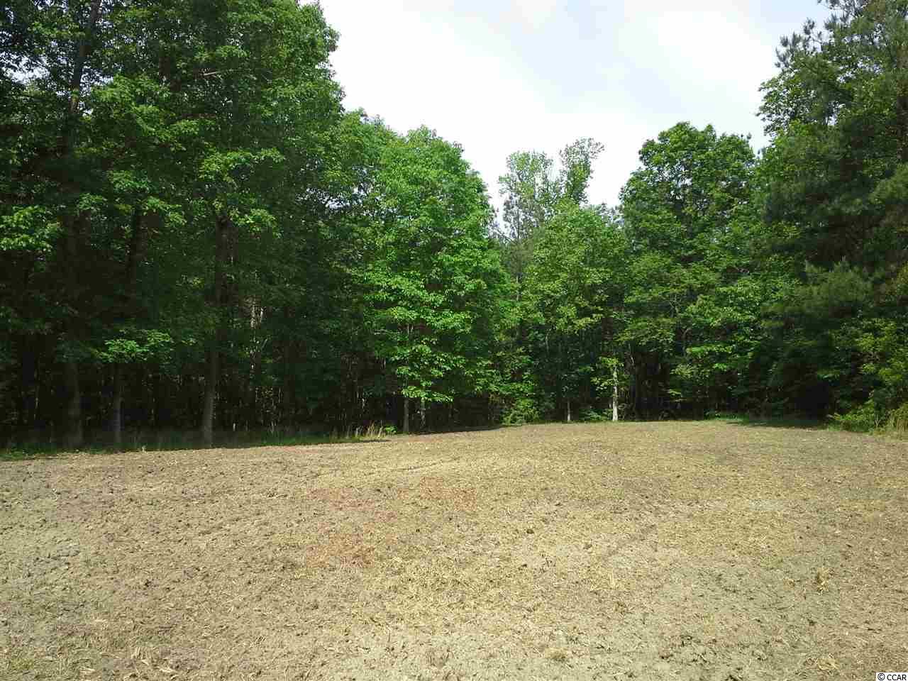 Tbd Radio Road Hemingway, SC 29554 - Photo 12 of 25