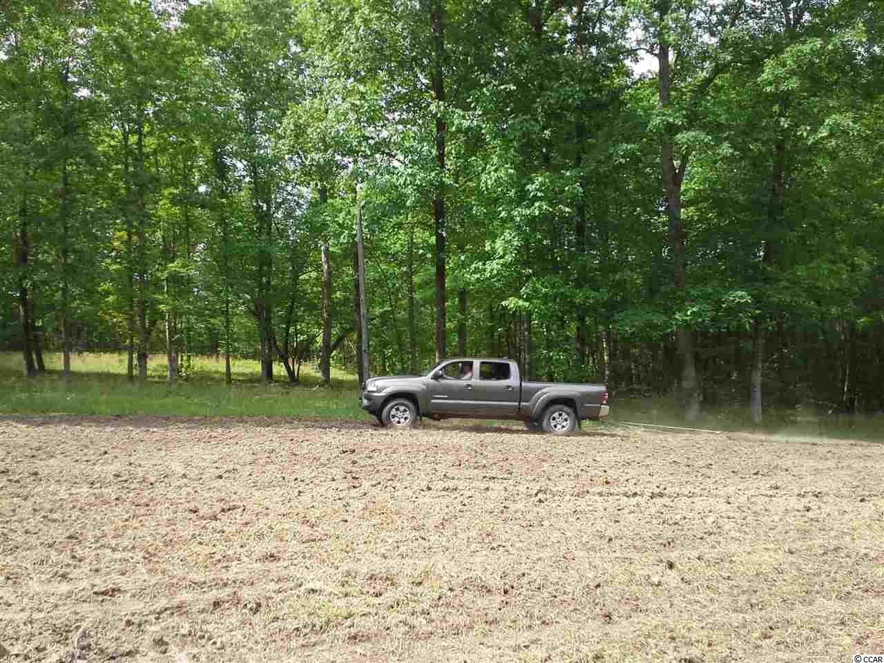 Tbd Radio Road Hemingway, SC 29554 - Photo 15 of 25