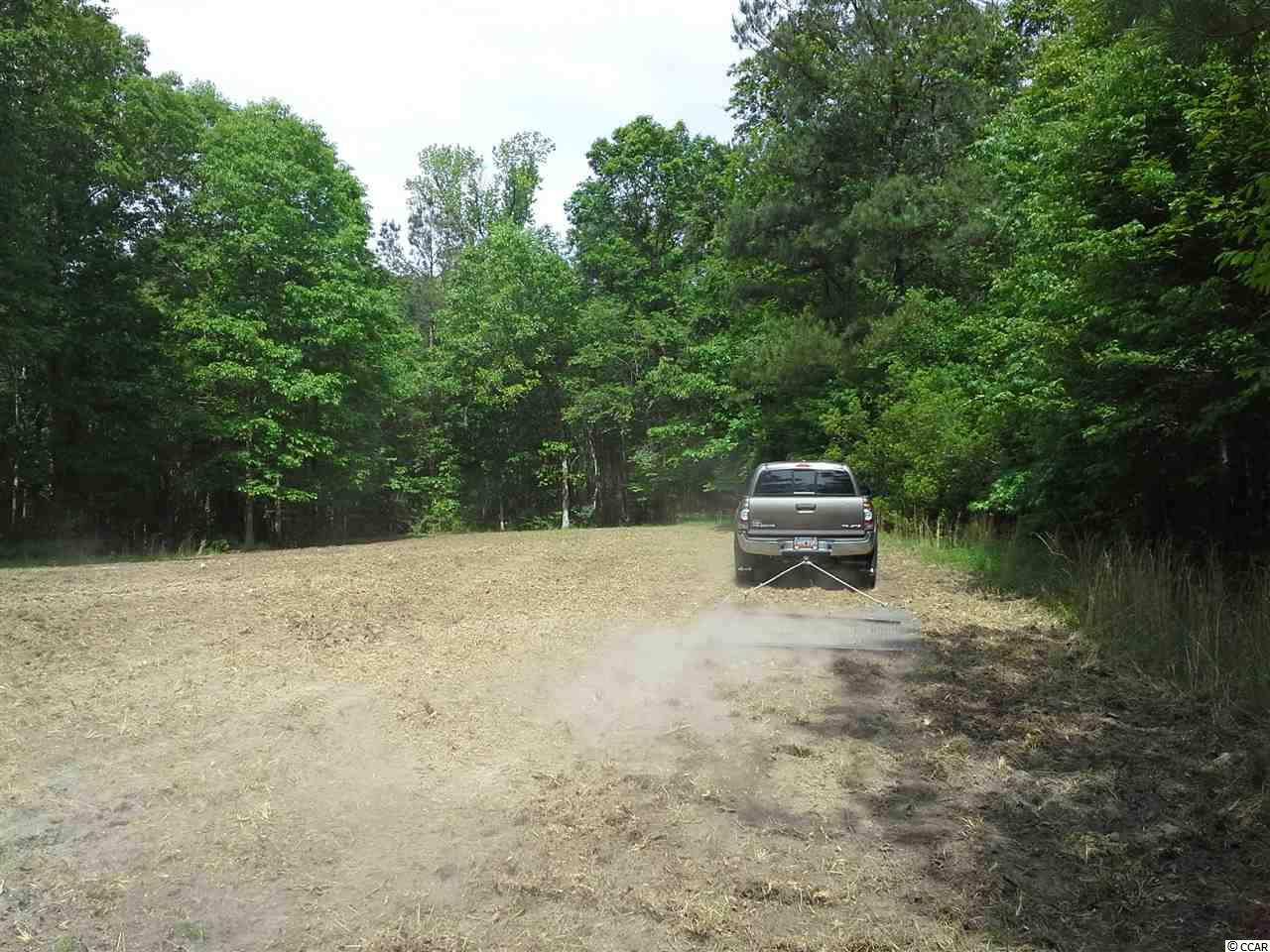 Tbd Radio Road Hemingway, SC 29554 - Photo 16 of 25