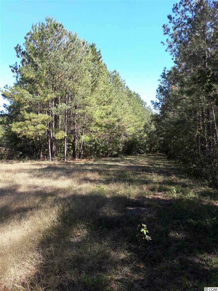Tbd Radio Road Hemingway, SC 29554 - Photo 20 of 25