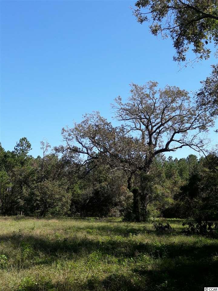 Tbd Radio Road Hemingway, SC 29554 - Photo 21 of 25