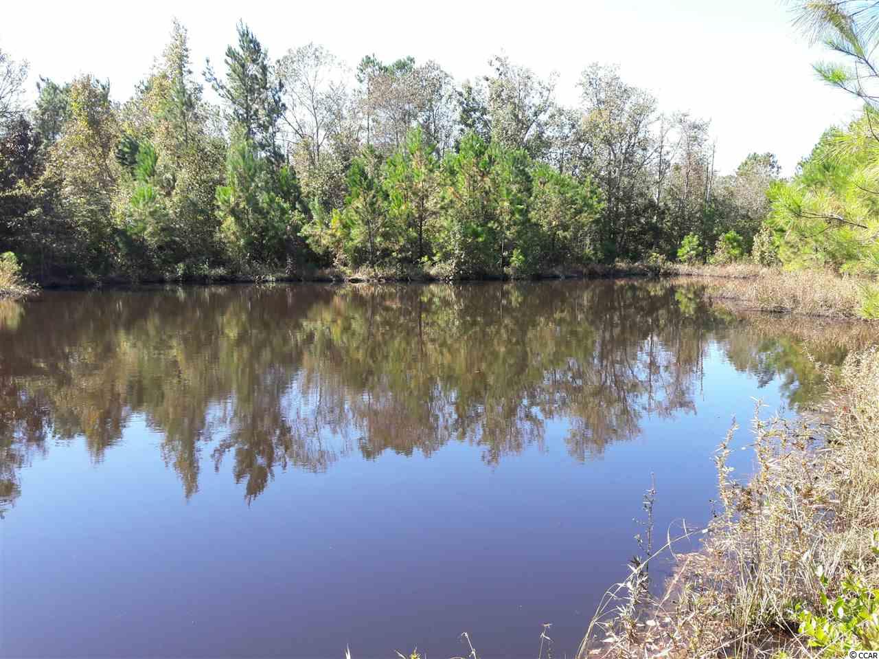 Tbd Radio Road Hemingway, SC 29554 - Photo 22 of 25
