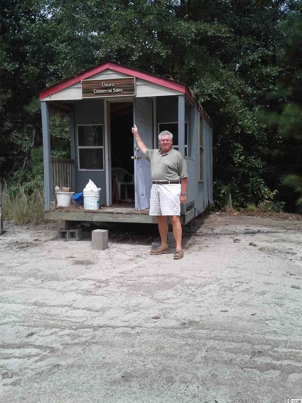 Tbd Radio Road Hemingway, SC 29554 - Photo 4 of 25