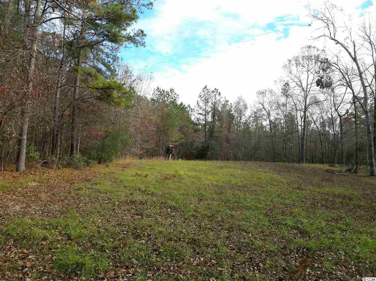 Tbd Radio Road Hemingway, SC 29554 - Photo 6 of 25