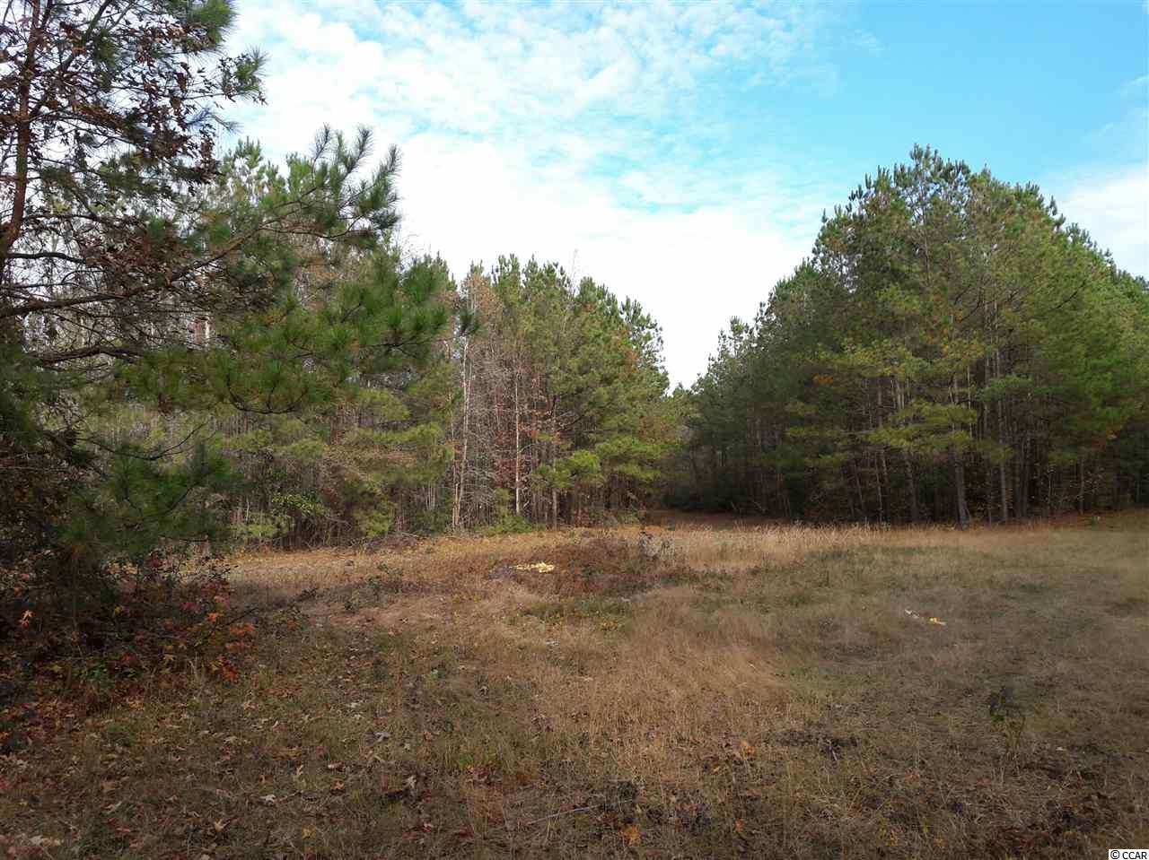Tbd Radio Road Hemingway, SC 29554 - Photo 7 of 25