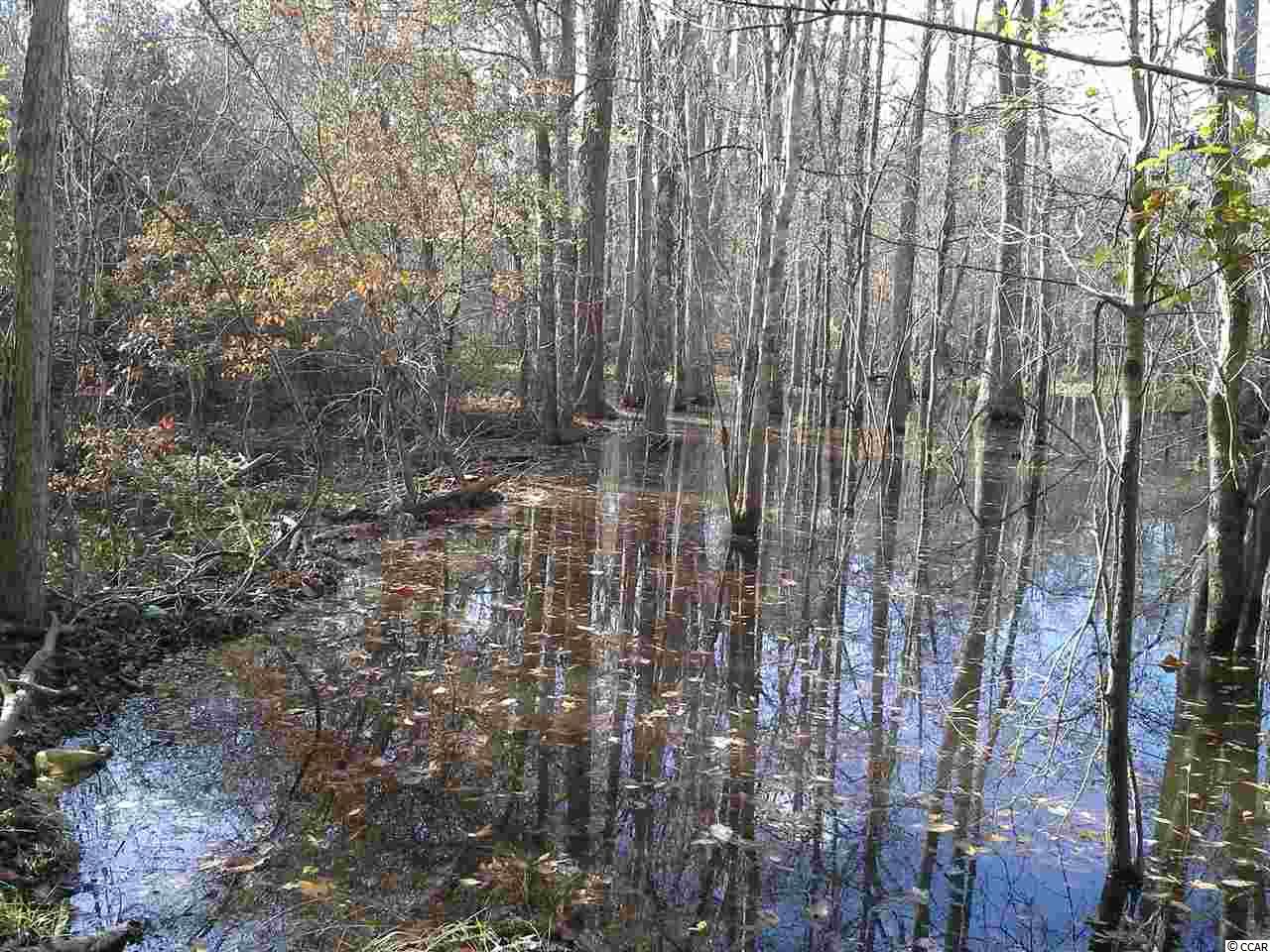 Tbd Radio Road Hemingway, SC 29554 - Photo 8 of 25
