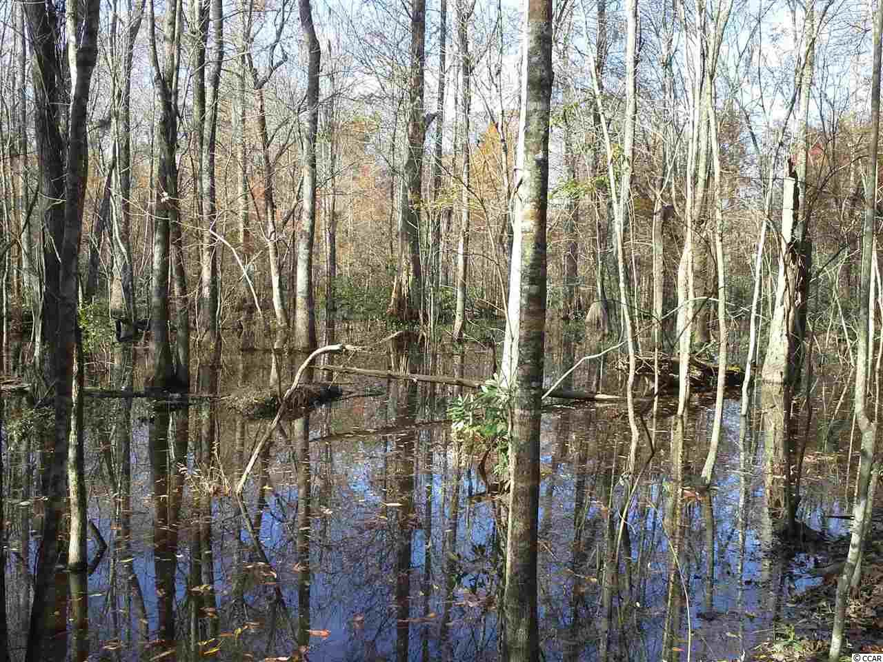Tbd Radio Road Hemingway, SC 29554 - Photo 9 of 25
