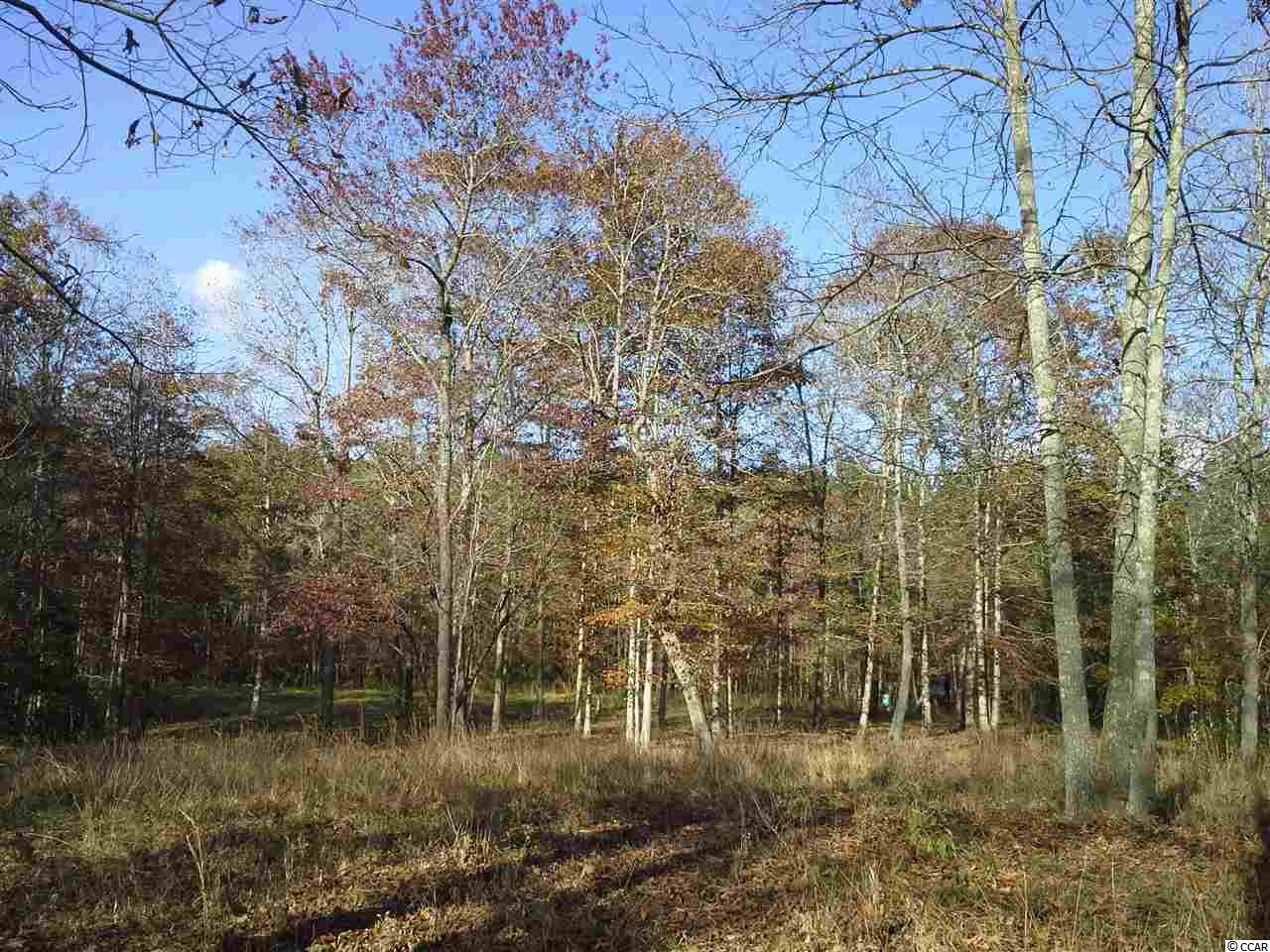 Tbd Radio Road Hemingway, SC 29554 - Photo 10 of 25