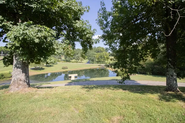 a view of a lake from a yard