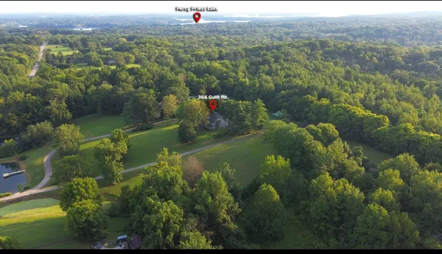 a living room filled with furniture and a potted plant