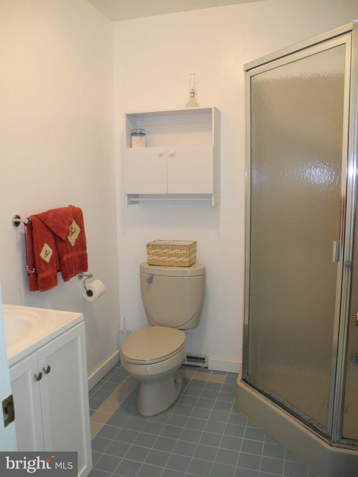 7113 Ridge Crest Drive Frederick, MD 21702 - Photo 23 of 30 Lower level bathroom