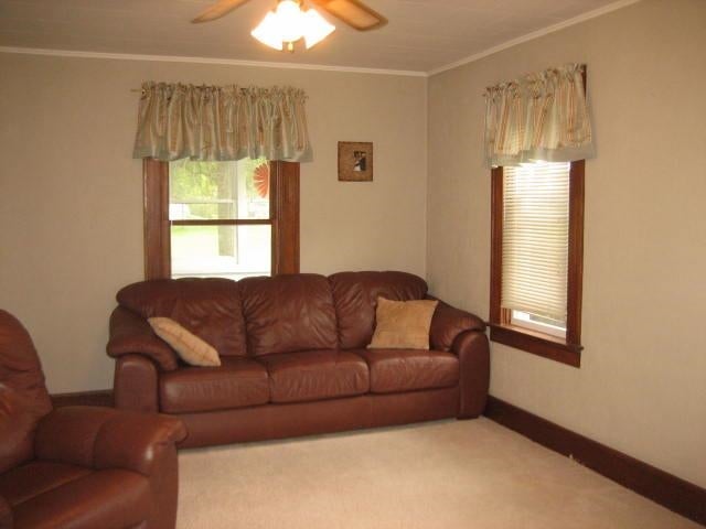 710 5th Street Kalona, IA 52247 - Photo 9 of 23 Gallery Image 9