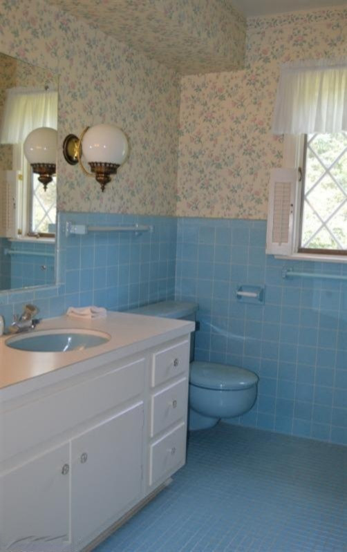 266 Ridgewood Court Ionia, MI 48846 - Photo 20 of 24 Additional Photo