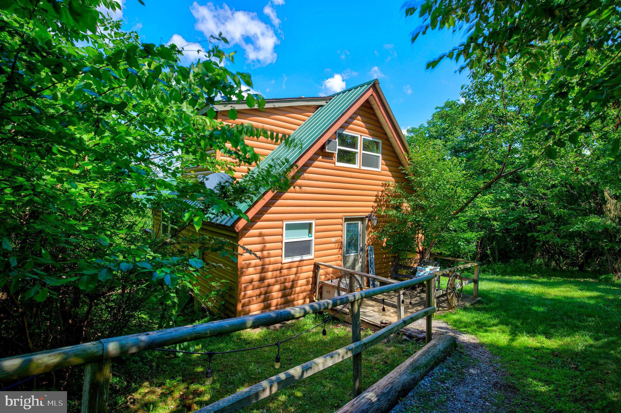 707 Overlook Drive Rileyville, VA 22650 - Photo 52 of 94
