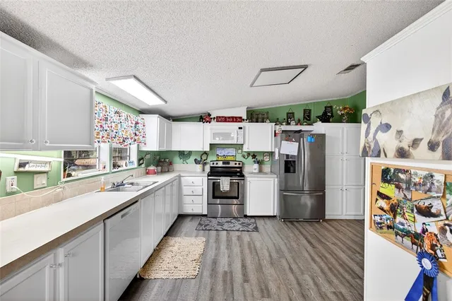 $425,000 | 650 Northeast 170th Avenue, Williston, FL 32696