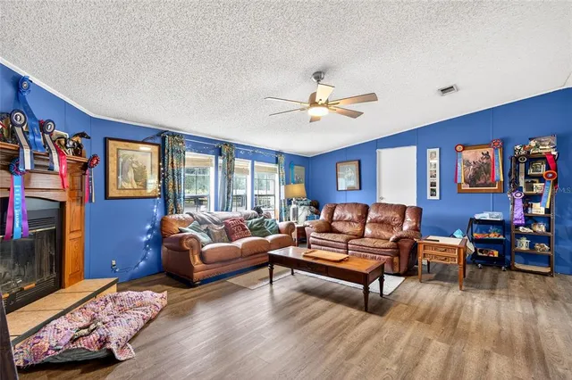 $425,000 | 650 Northeast 170th Avenue, Williston, FL 32696