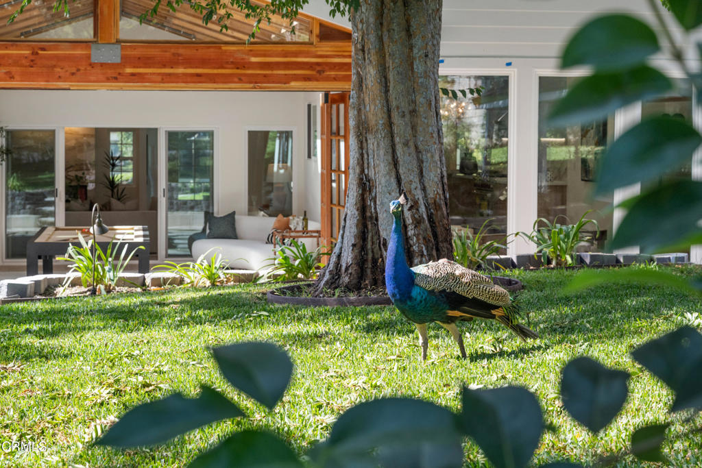 875 San Simeon Road Arcadia, CA 91007 - Photo 59 of 60 a view of a house with backyard