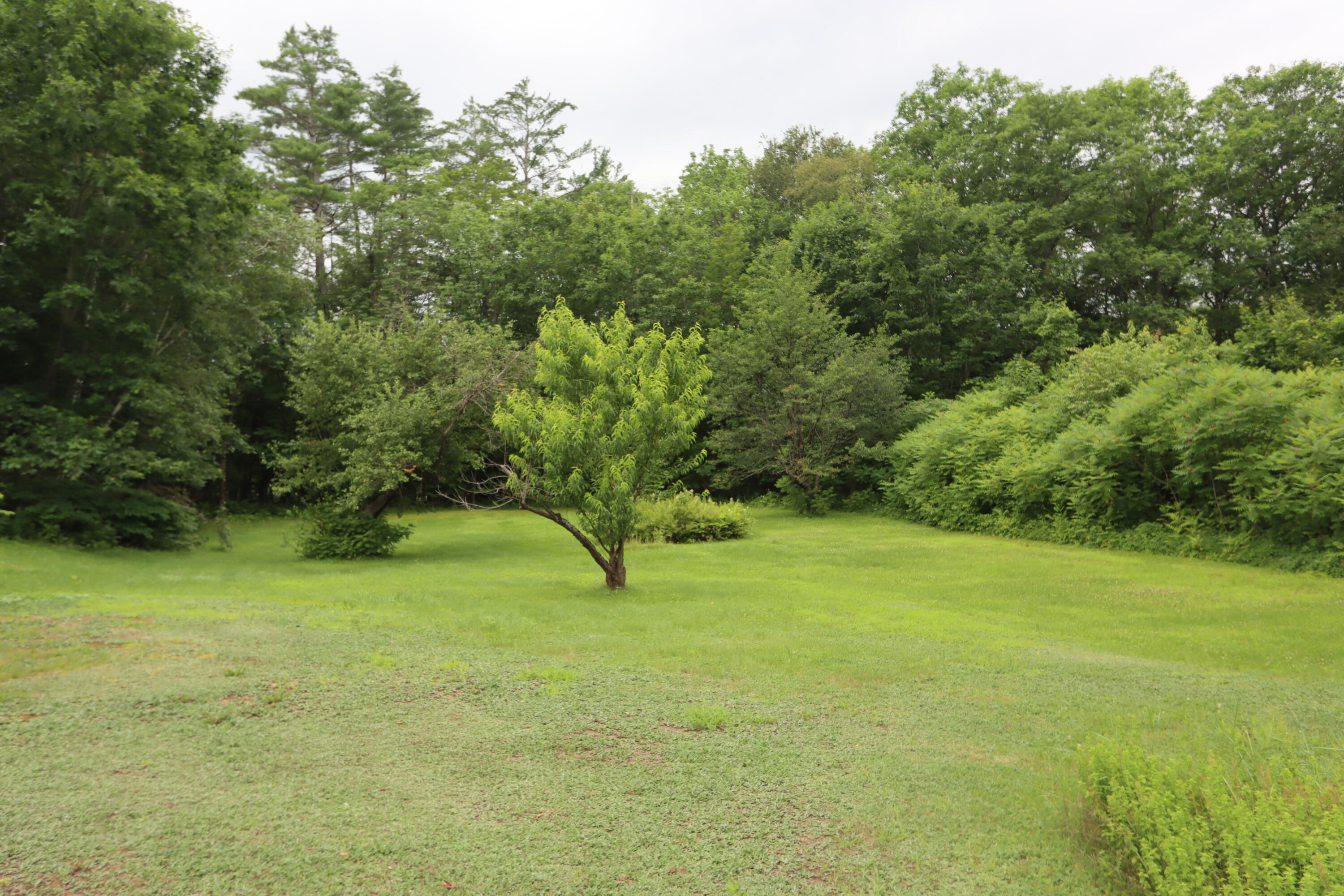 7 Black Bridge Road Mexico, ME 04257 - Photo 28 of 39 IMG_3732