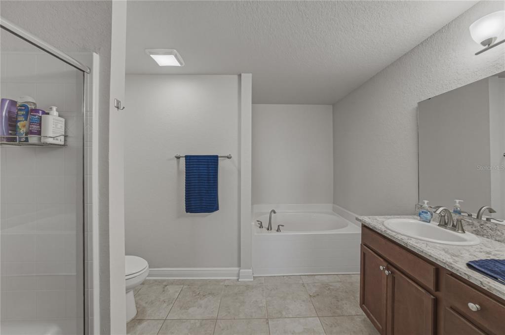 4734 Lathloa Loop Lakeland, FL 33811 - Photo 48 of 65