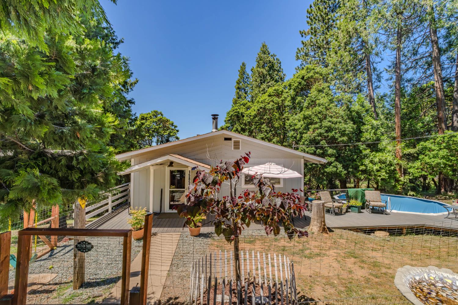 15853 Schaefer Ranch Road Pioneer, CA 95666 - Photo 6 of 68
