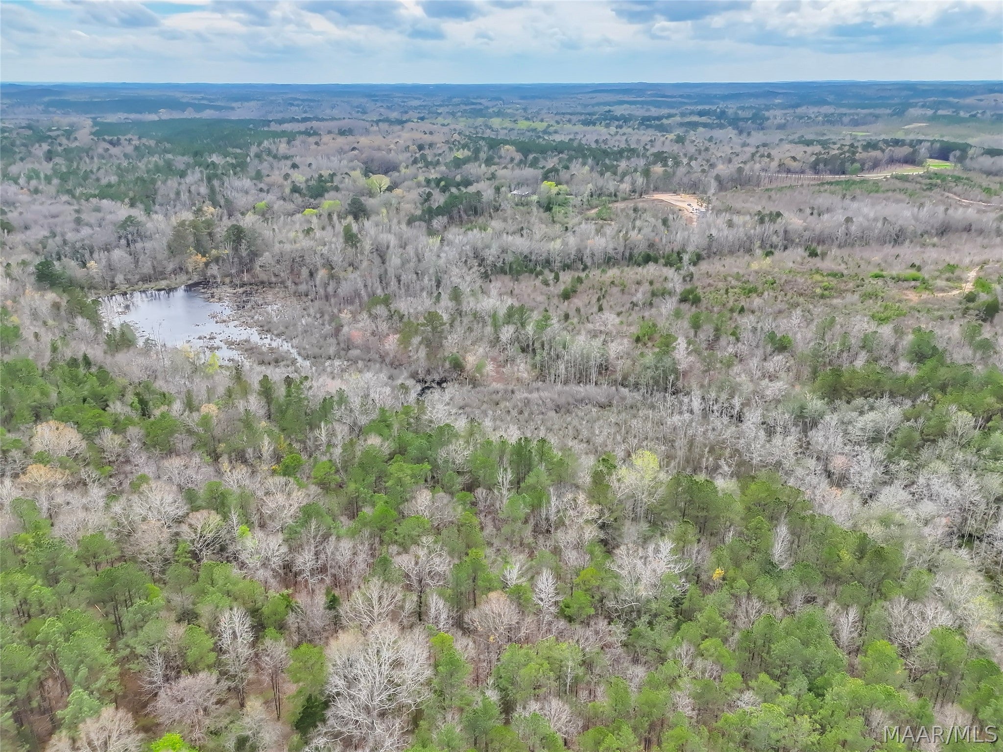 0 Brownin Road Ralph, AL 35480 - Photo 9 of 19 Gallery Image 9