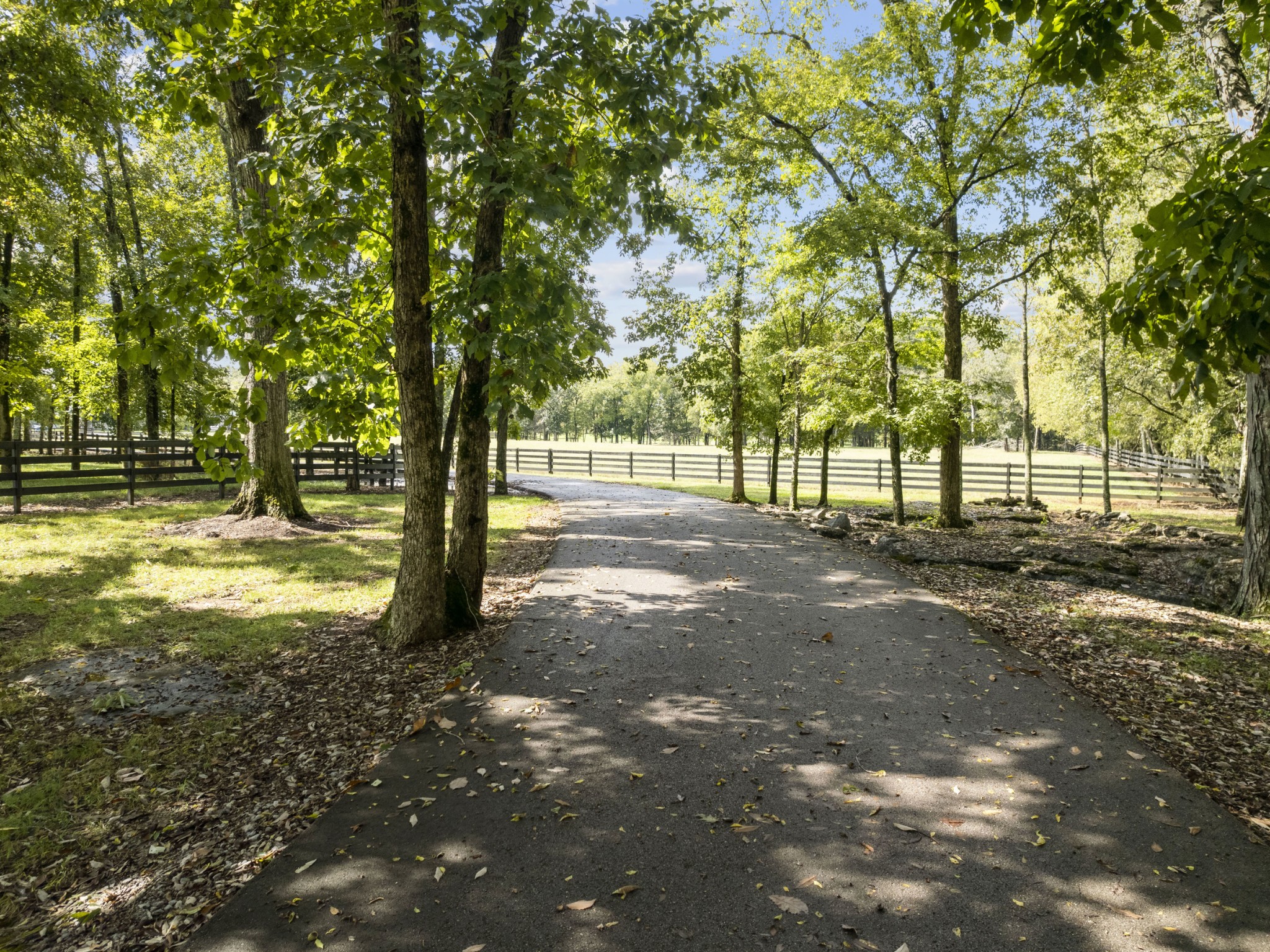 4760 Sharpsville Road Murfreesboro, TN 37130 - Photo 5 of 50 a view of a yard with large trees