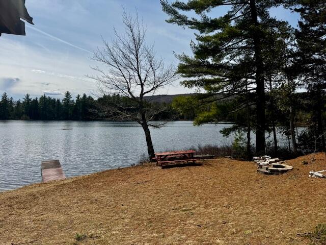 Lot 4 Otter Pond Road Harmony, ME 04942 - Photo 19 of 47 IMG_2391
