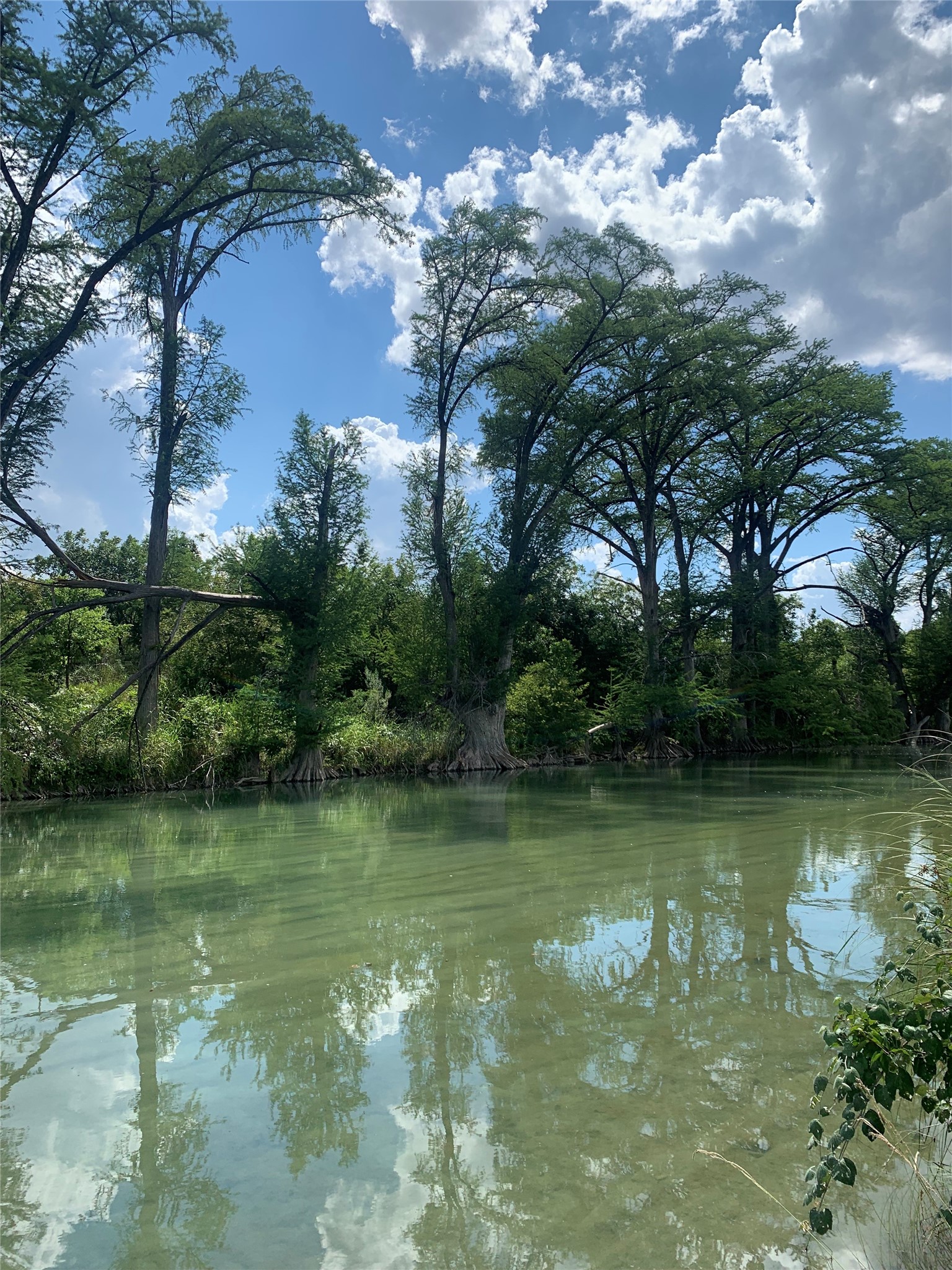 Tbd Deer Run Wimberley, TX 78676 - Photo 11 of 21