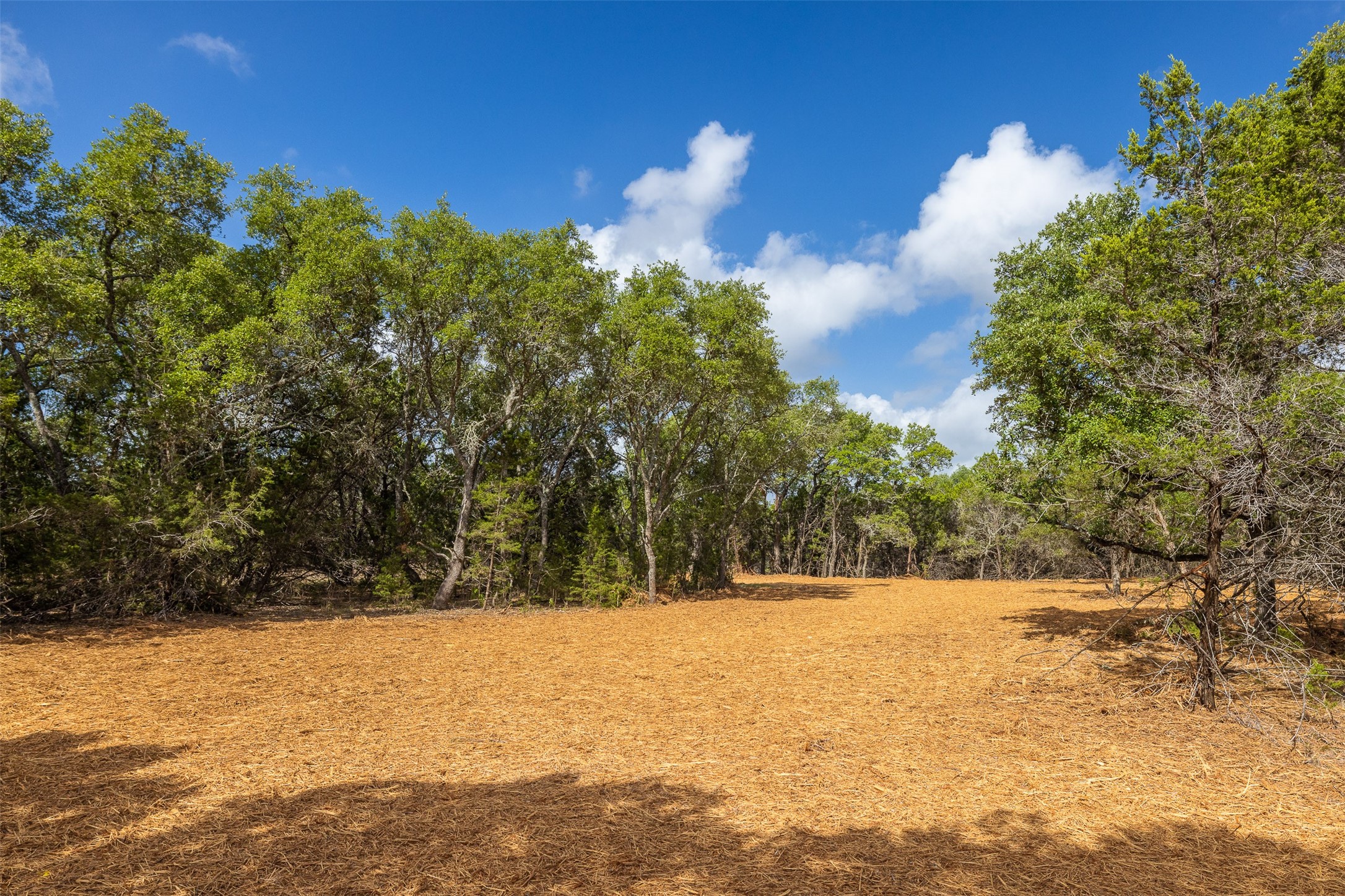 Tbd Deer Run Wimberley, TX 78676 - Photo 4 of 21