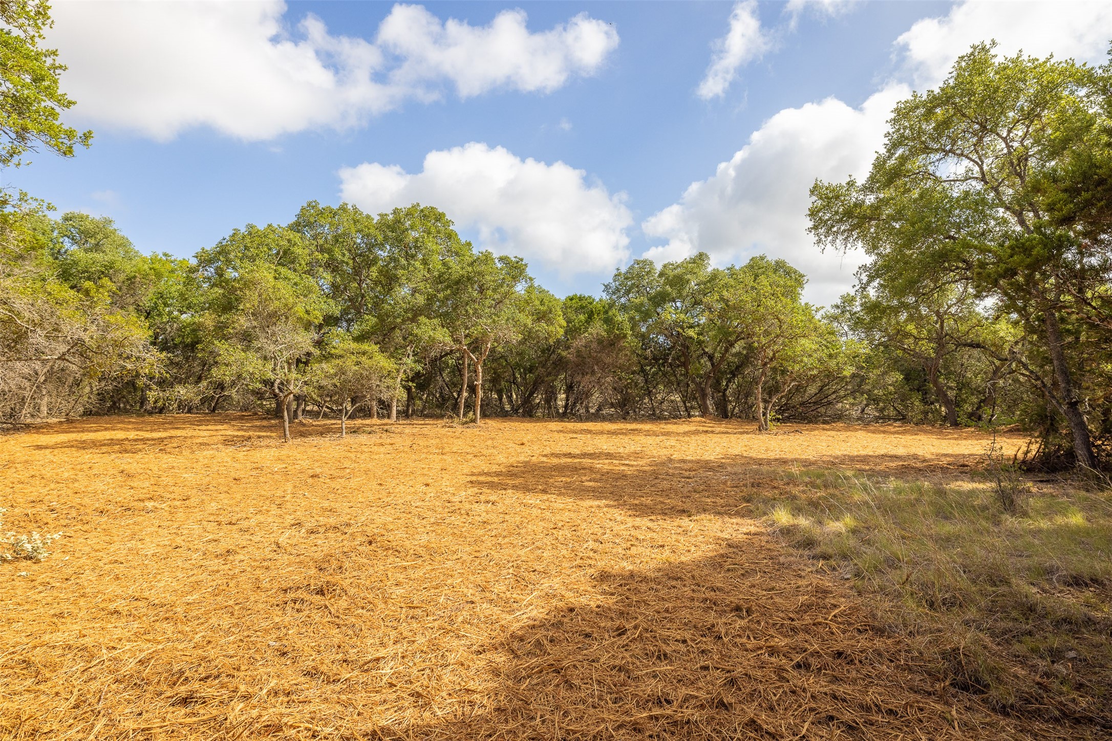 Tbd Deer Run Wimberley, TX 78676 - Photo 6 of 21