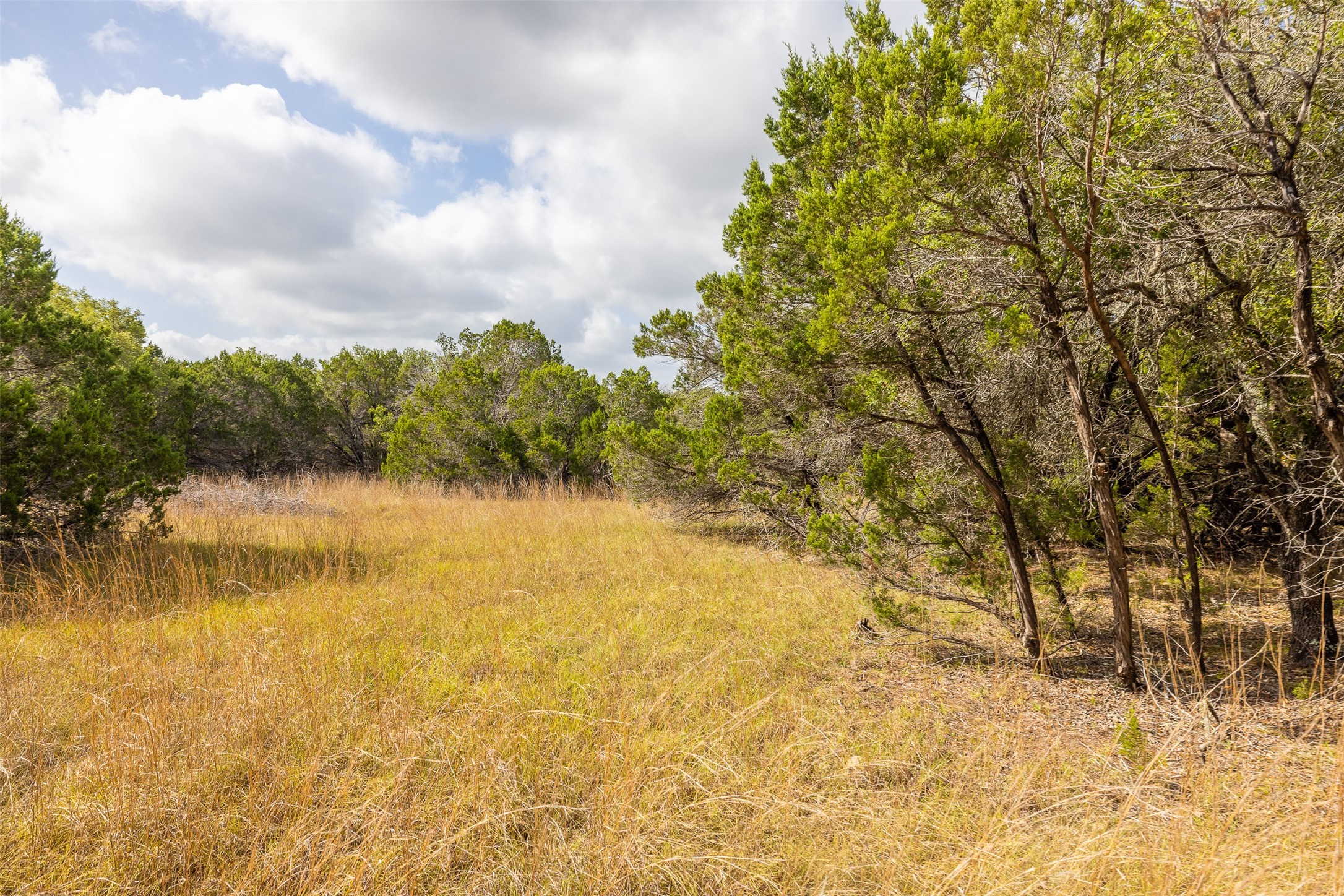 Tbd Deer Run Wimberley, TX 78676 - Photo 7 of 21