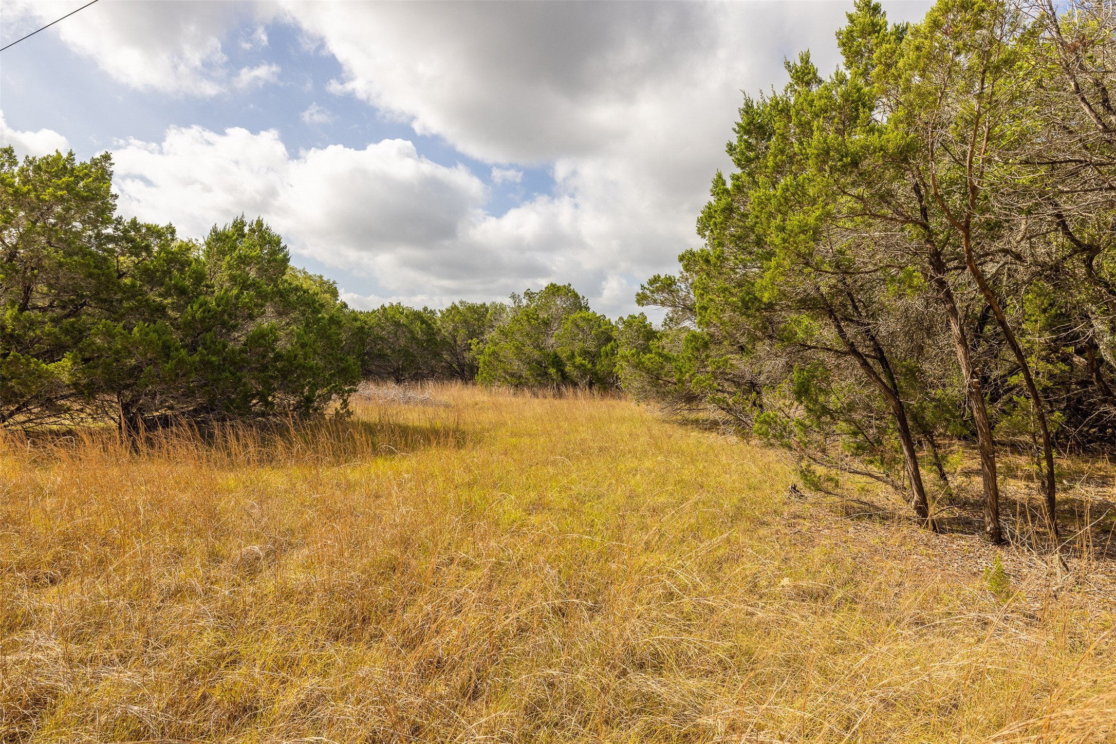 Tbd Deer Run Wimberley, TX 78676 - Photo 8 of 21