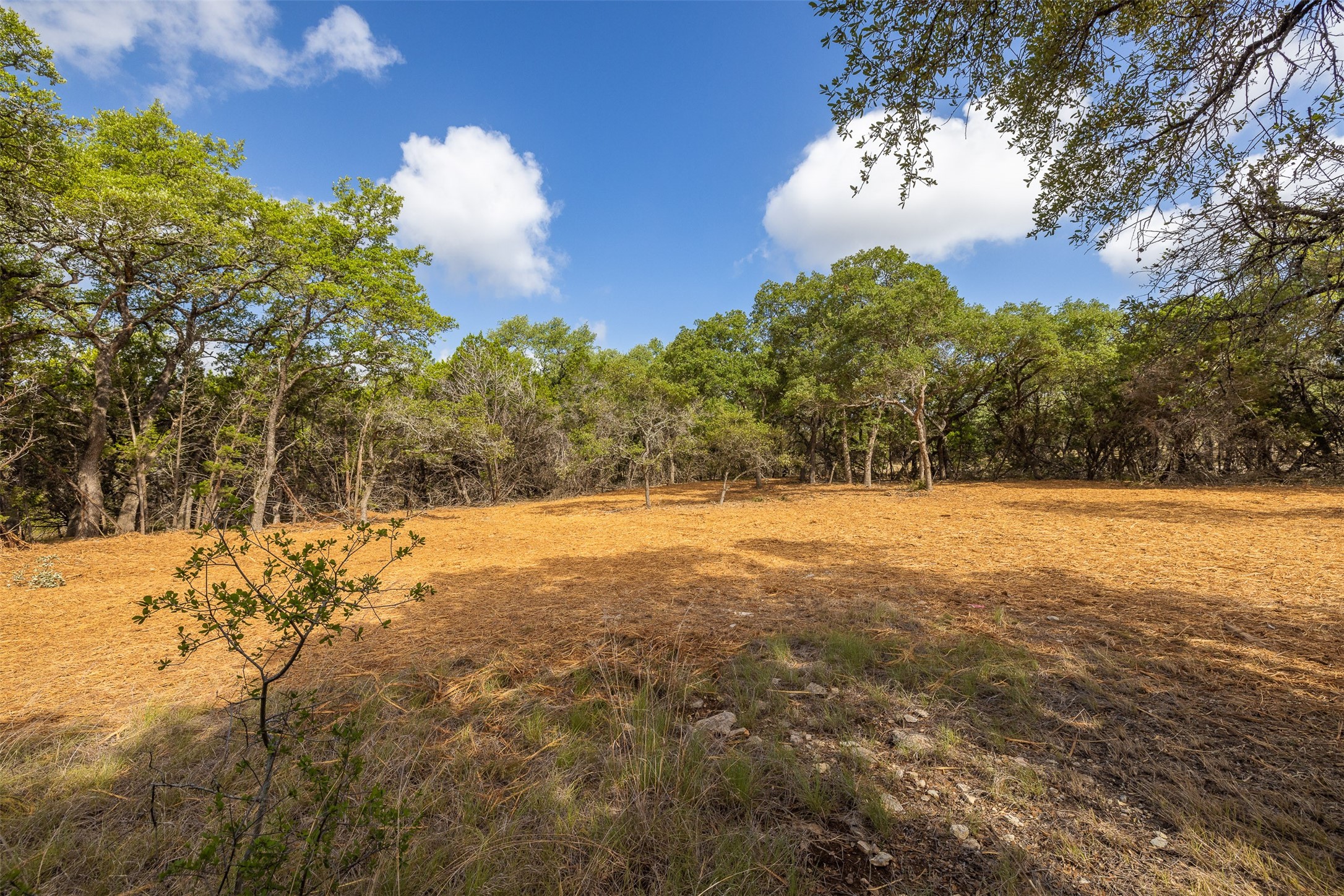 Tbd Deer Run Wimberley, TX 78676 - Photo 9 of 21