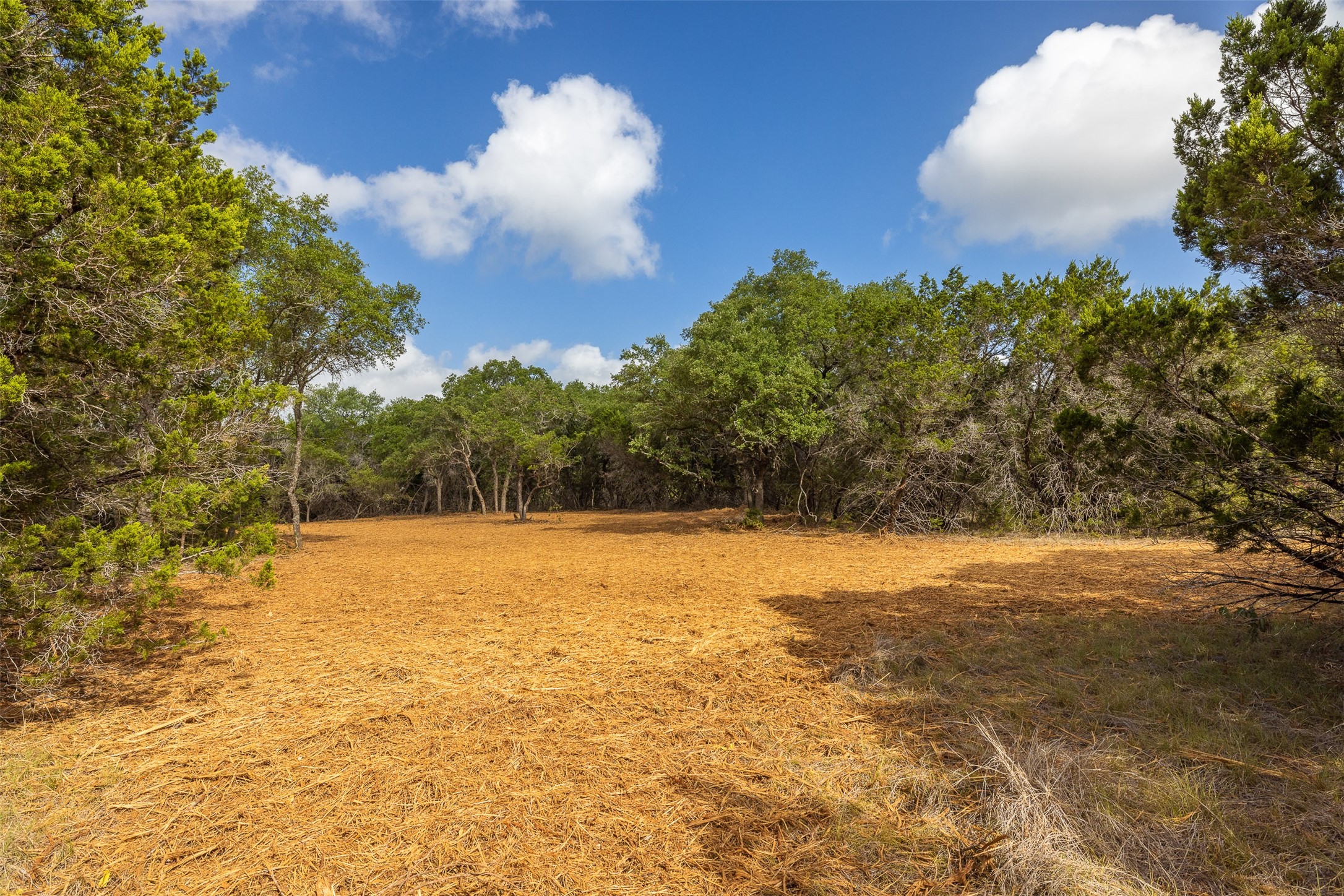 Tbd Deer Run Wimberley, TX 78676 - Photo 10 of 21
