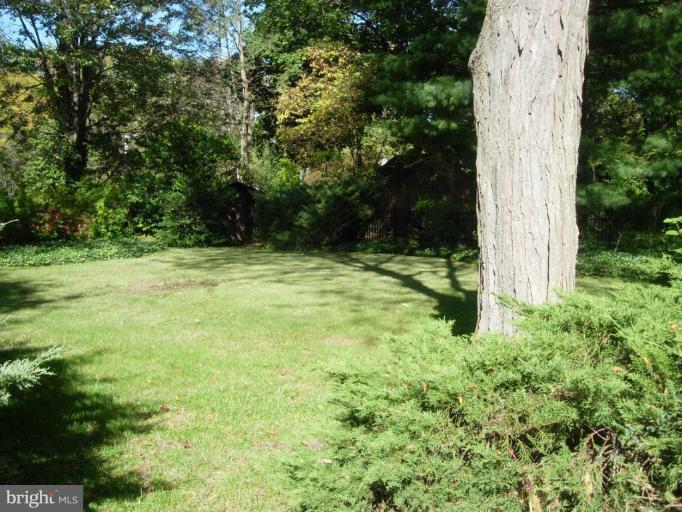 30 Apple Road Newark, DE 19711 - Photo 3 of 10 Back yard