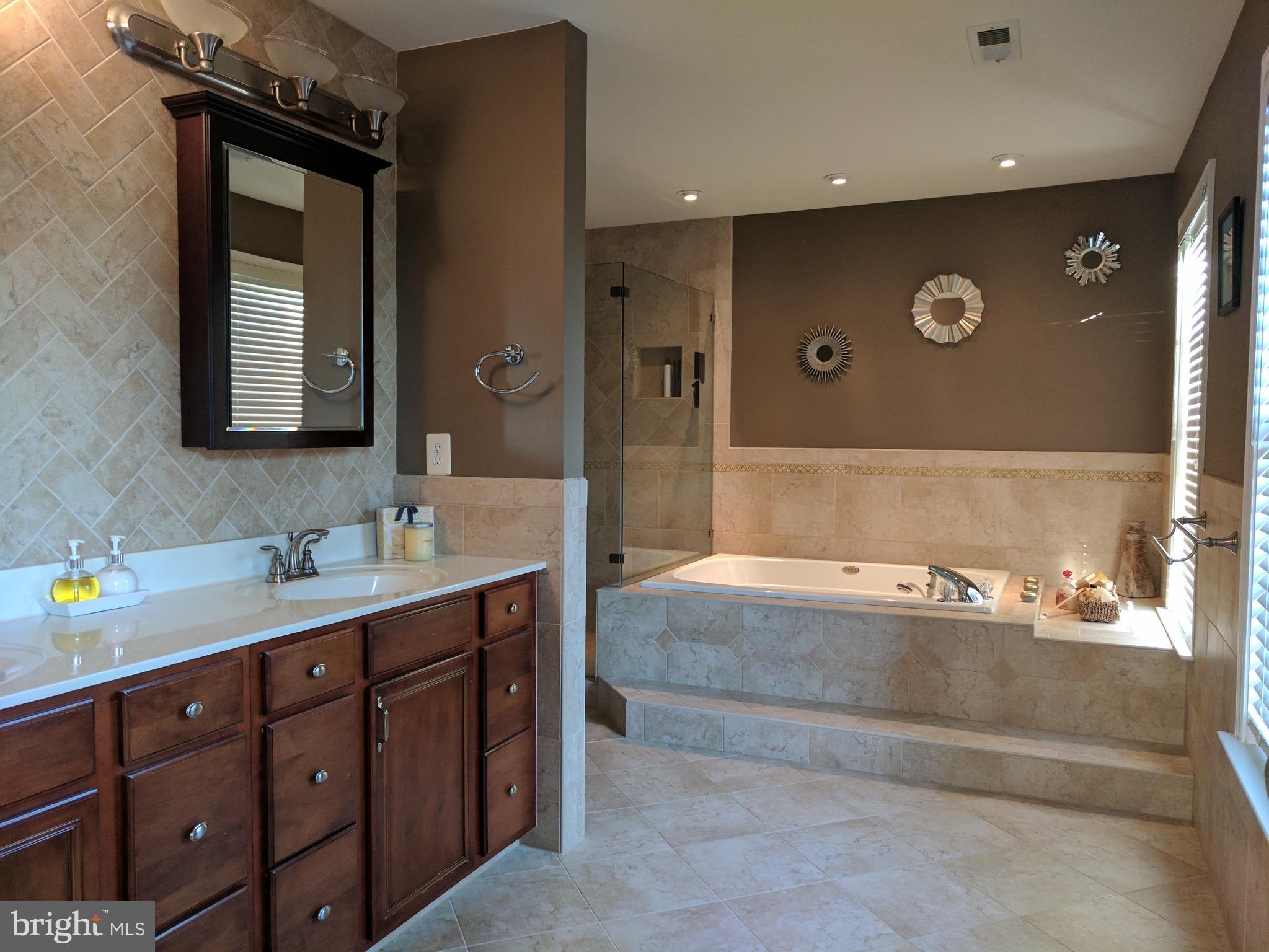 10995 Clover Hunt Court Reston, VA 20194 - Photo 15 of 30 Bath (Master)