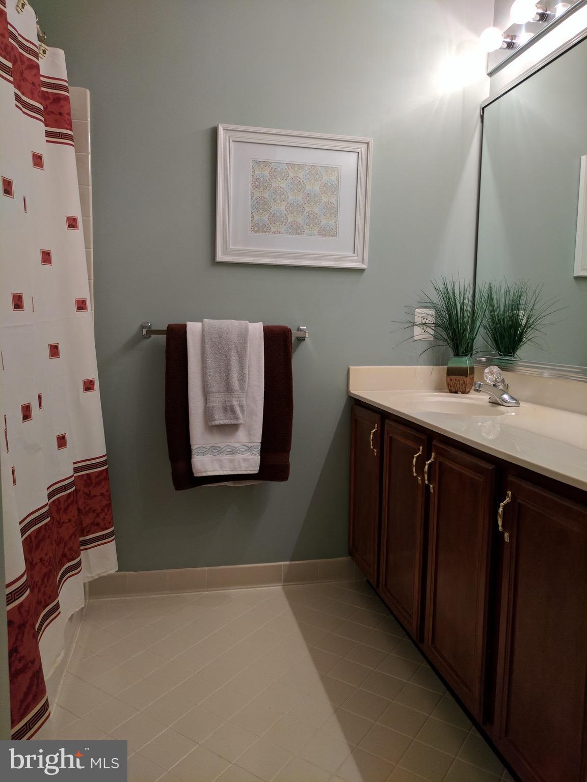 10995 Clover Hunt Court Reston, VA 20194 - Photo 18 of 30 Bath