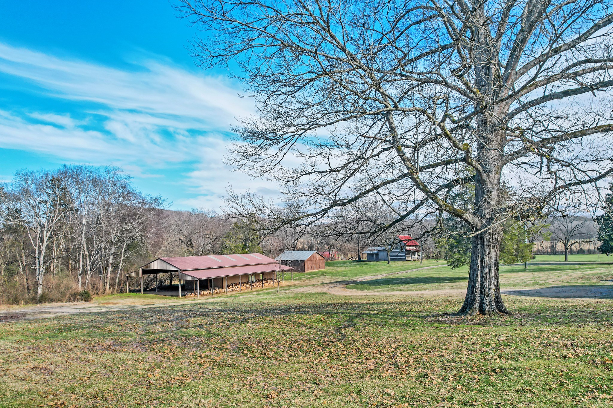 3303 Blazer Road Franklin, TN 37064 - Photo 54 of 70 View from the front door looking to the left of the property.