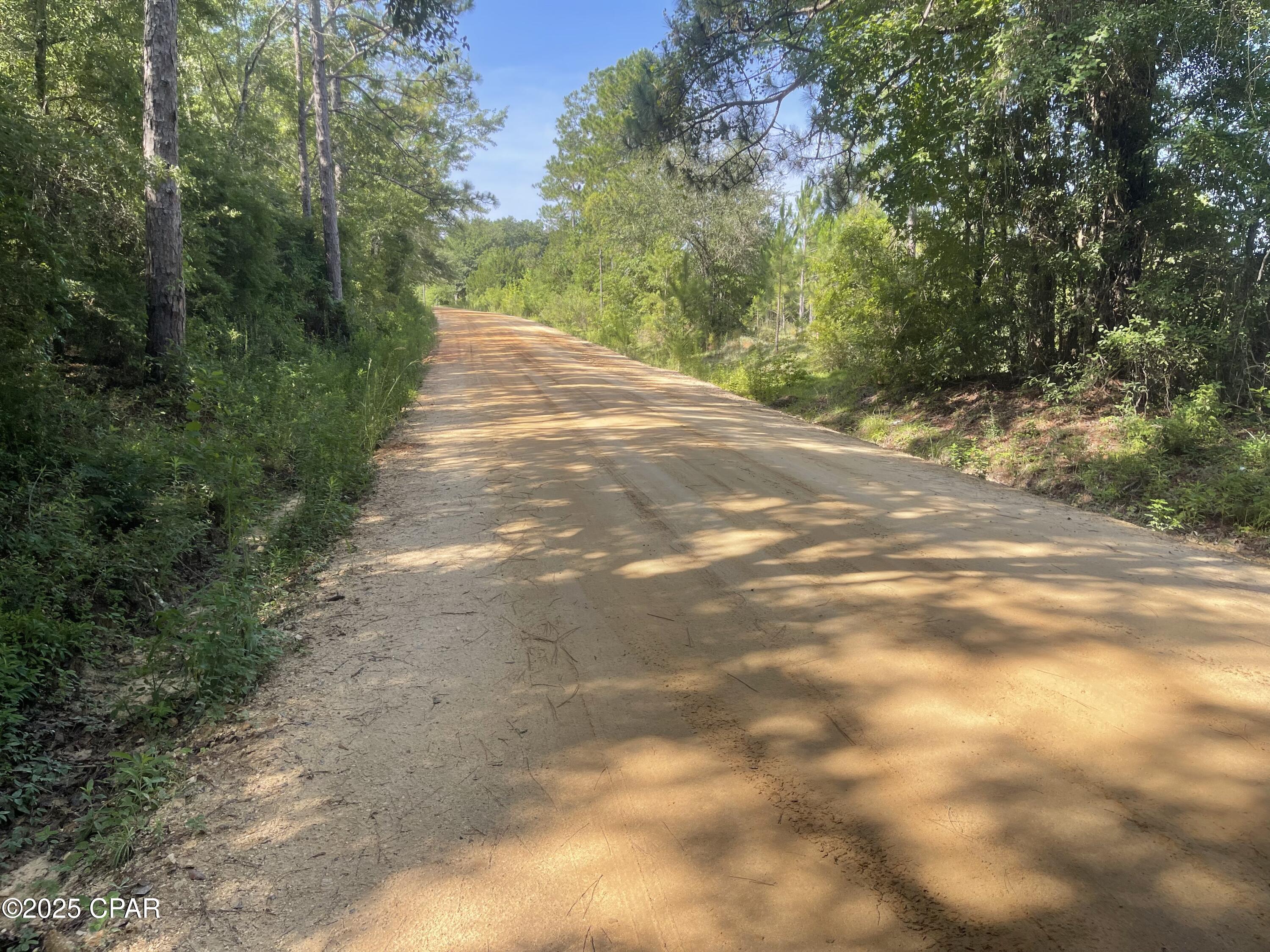 0 North Holmes Creek Road Graceville, FL 32440 - Photo 11 of 16