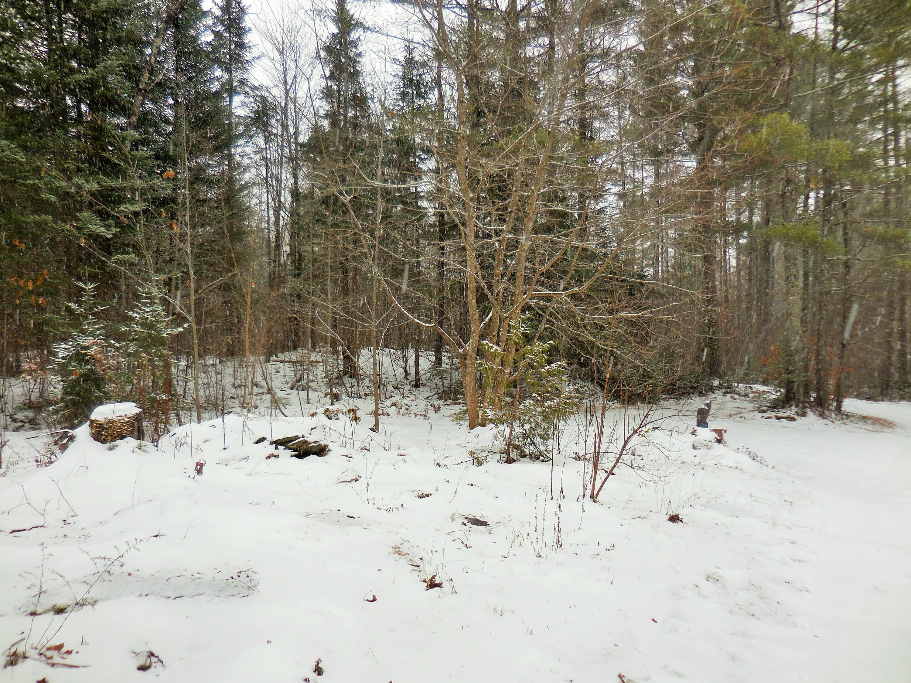 258 Townhouse Road Sangerville, ME 04479 - Photo 44 of 48 43